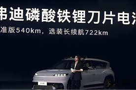 不只是销冠，更是新能源产业链的“隐形赋能者”