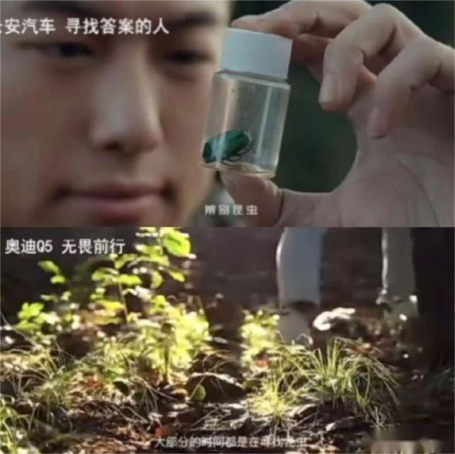“小满”事故差点重演，Q5L宣传片被曝抄袭长安，奥迪回应“不属实”