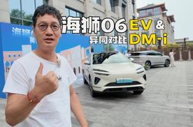 海狮06动力有两种 对比一下纯电和插混异同