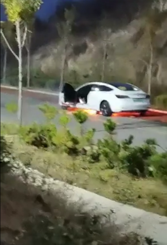 安全的汉与“割韭菜”的model3，你选谁？