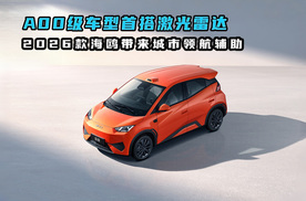 A00级车型首搭激光雷达 2026款海鸥带来城市领航辅助