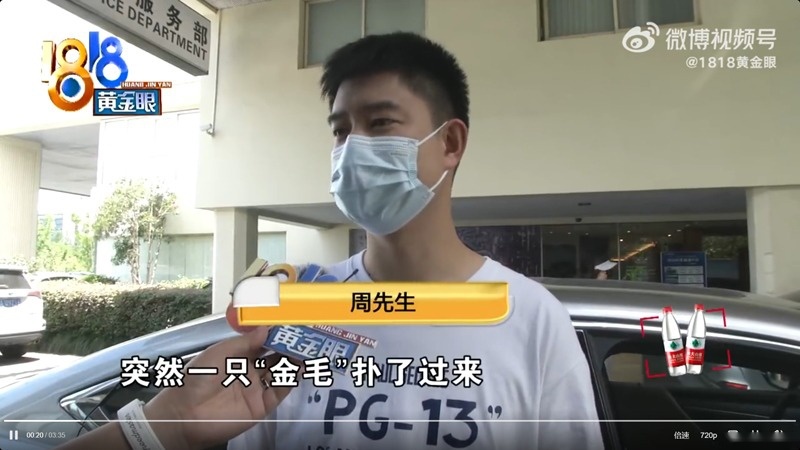 刚提两天的雷克萨斯被金毛抓坏车门，车损一万三，该谁来赔？
