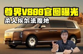 杀入埃尔法腹地 尊界V800官图曝光