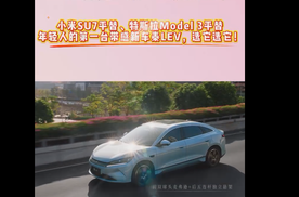 小米SU7平替、特斯拉Model 3平替，年轻人的第一台带感新车秦LEV，选它选它！