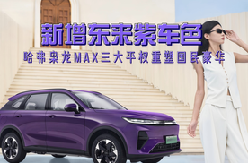 新增东来紫车色 哈弗枭龙MAX三大平权重塑国民豪华