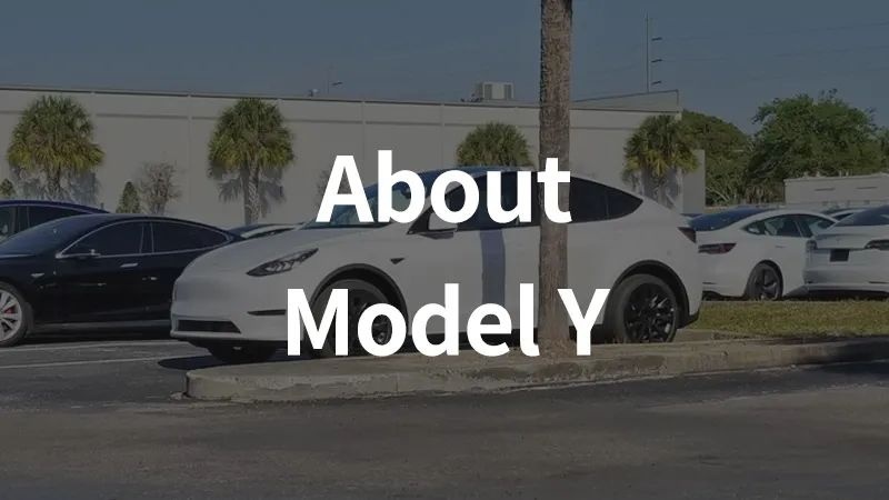 你的 Model Y 已发货