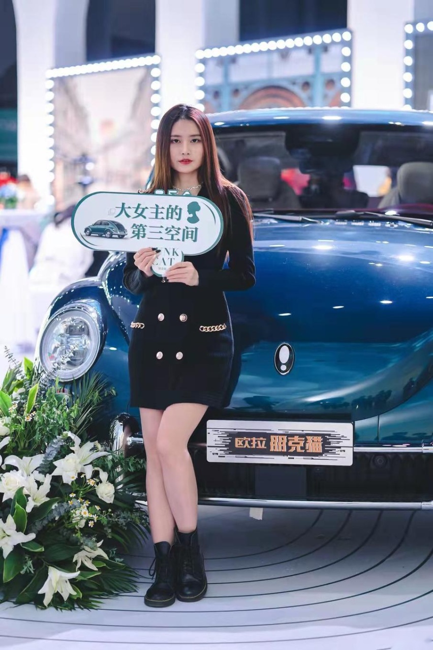 共创行走的艺术品，欧拉朋克猫共创主题艺术展华丽开启