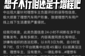 理想一出纯电就出事，到底怎么个事？