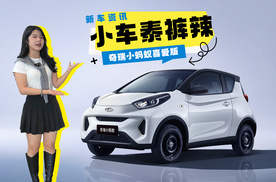 奇瑞小蚂蚁喜爱版正式上市，限时一口价5.49万元，续航里程251km