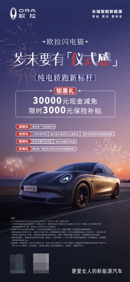 岁末要有“仪式感”！欧拉闪电猫限时钜惠30000元 加享3000元补贴