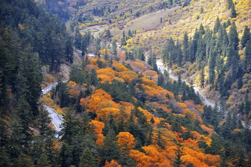 重走长征路，再次翻越大雪山，秋天季节里的夹金山原来这么美