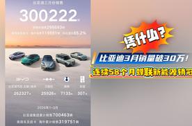 比亚迪3月销量破30万！连续58个月蝉联新能源销冠！