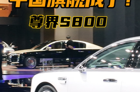 尊界S800亮相大湾区车展，独立品鉴区，中国旗舰成了？