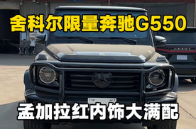 舍科尔限量版26款奔驰G550孟加拉红内饰大满配