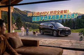30万级MPV终迎全能解！岚图梦想家双版本怎么选？答案来了