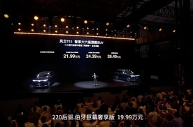 11大百万配置全系标配，风云T11开启预售19.99万起