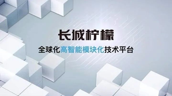奇瑞如今走到这般田地，在座的领导都有责任