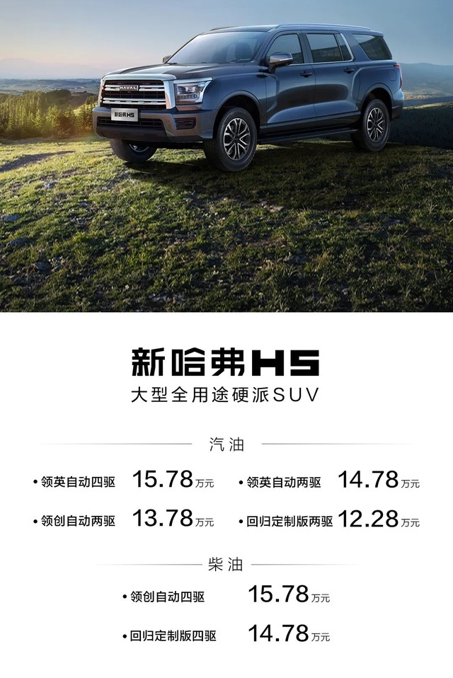 国产硬派全尺寸SUV，2.0T+非承载车身，同级无对手？