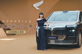 涵公子驾道|岚图梦想家9品鉴：鲲鹏立标一升一降，立住的何止身份