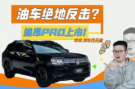 “老实人”还在卷油车？上汽大众绝地反击，途昂PRO价格到底了！