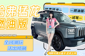 纯粹可靠方盒子 哈弗猛龙燃油版 正式上市