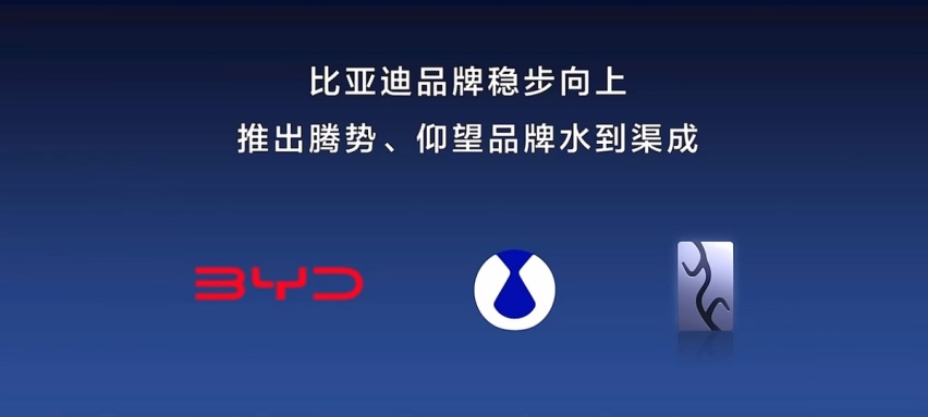 比亚迪：2022年大赚166亿，今年年底成为国产NO.1