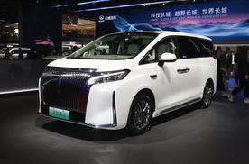 面向家庭用户 魏牌高山7预售28.98万起