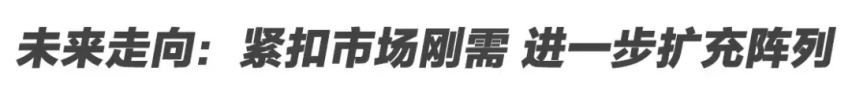 全场景0焦虑 更接地气的新能源策略来自于魏牌