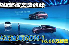 中级燃油车之劲敌 比亚迪海豹DM-i豹力来袭