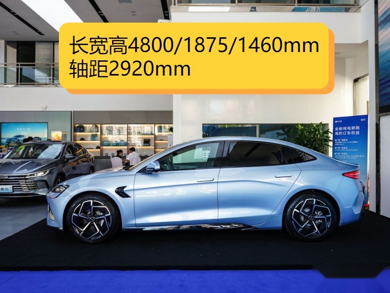 预算20万以上买中型车，Model 3和海豹谁才是首选？