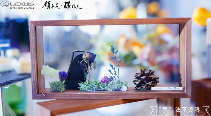 “享”法不设限 雷克萨斯全新一代NX合肥区域上市发布会