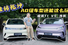 2025年A0级小车怎么选？极狐T1对比比亚迪海豚