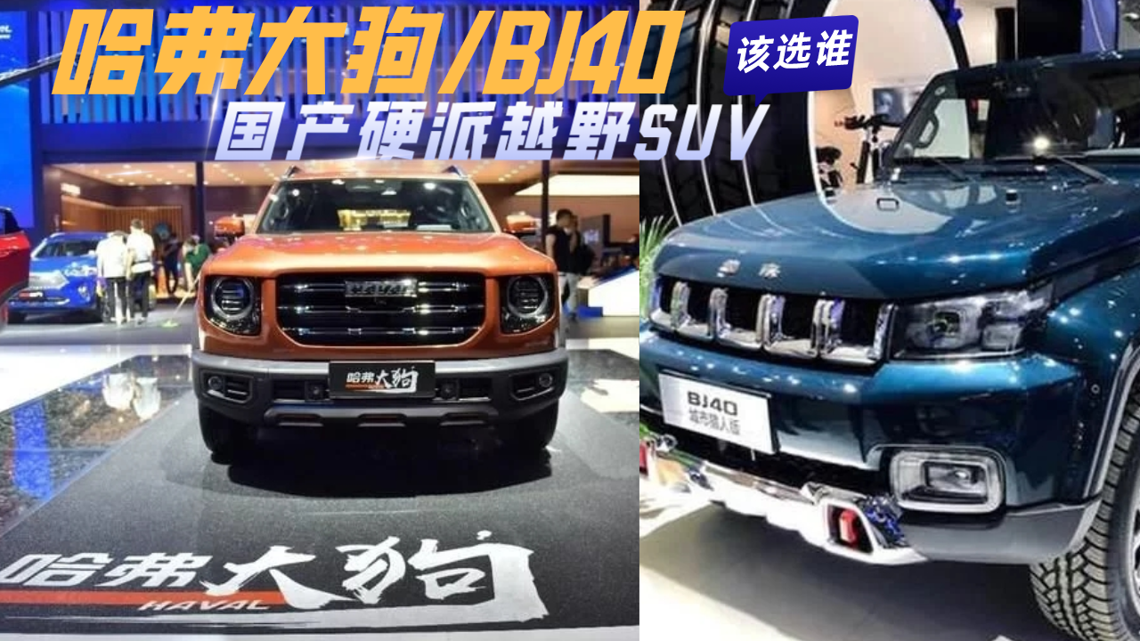 ӲԽҰSUV֮󹷺BJ40˭ֵ