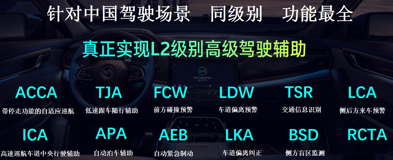 想沾光国产特斯拉的人白等了，了解一下威马吧，中国品牌很靠谱