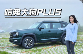 哈弗大狗PLUS限时预售换新价11.28万元起