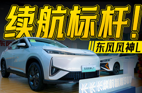 10万级SUV避坑指南：为啥我推荐东风风神L7？