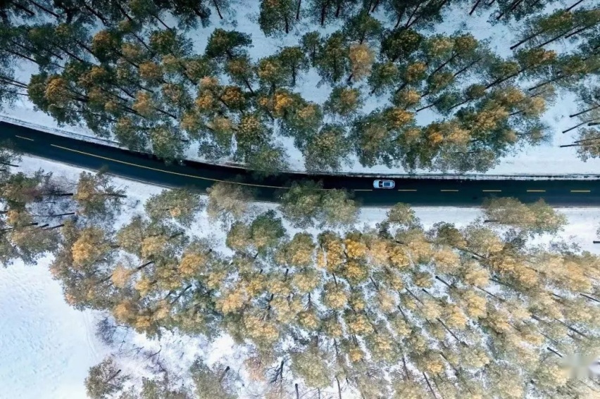 零下30度，极限续航超1050km，欧尚Z6 iDD不玩虚的