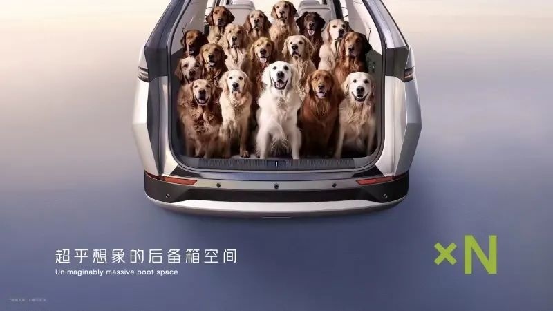 小鹏的百万豪赌