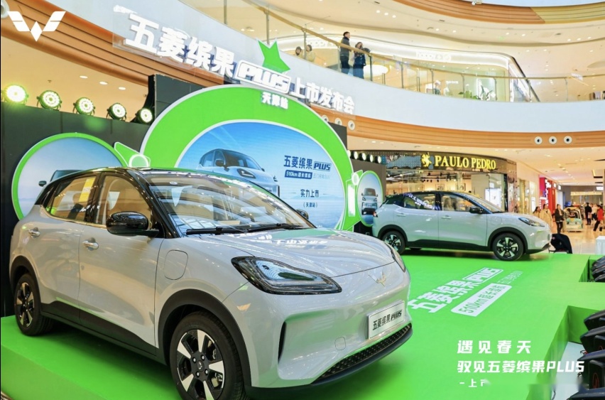 遇见五菱缤果PLUS，五菱缤果PLUS上市发布会