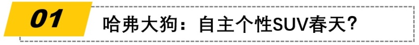 9月热闹了，这些热门车将正式上市！