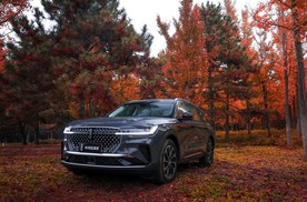 北外滩F1嘉年华，车迷打卡直接冲