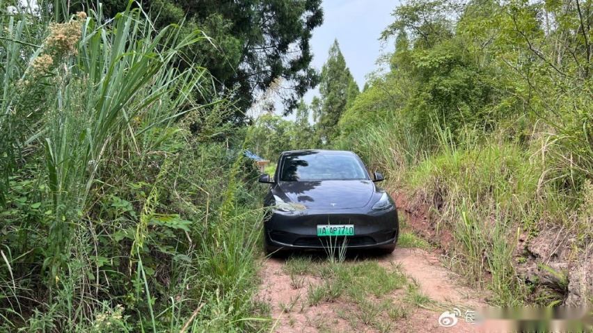 下订前一定要看看——长续航model Y深度体验报告