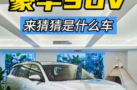 猜车——国产豪华大型SUV，北京车展正式亮相