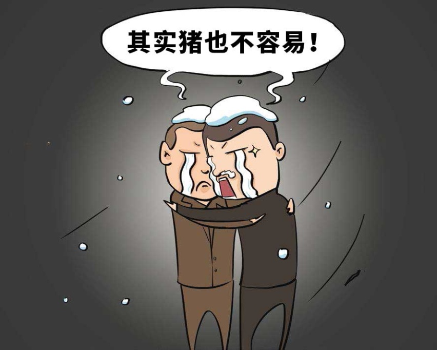 9.88万起，特别适合呆在车里的车就这几款，照着买错不了！