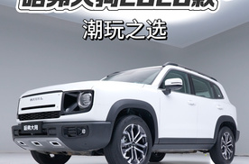 哈弗大狗2026款，潮玩之选