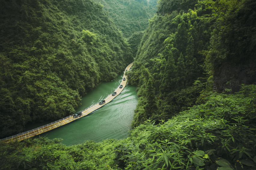 与中国贝爷一起在原始森林探索植物秘境 这很“开拓者”