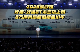 2025款欧拉好猫/好猫GT木兰版上市，8万拥有高颜值精品小车