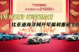 马年开新局 海洋超给利 比亚迪海洋网开年福利重磅上线
