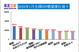 2025年1月汽车销量排行榜 小米SU7首次上榜