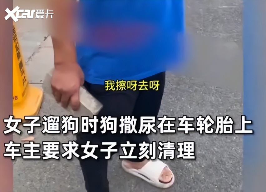 车主怒砸乱撒尿宠物狗事件：狗尿不会腐蚀轮胎但闻多了会污染人性